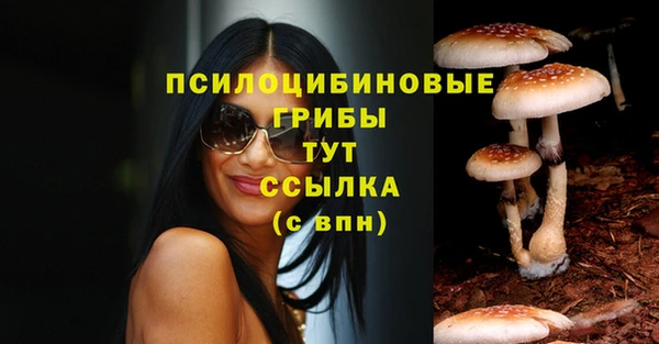 прущие крисы Алексин