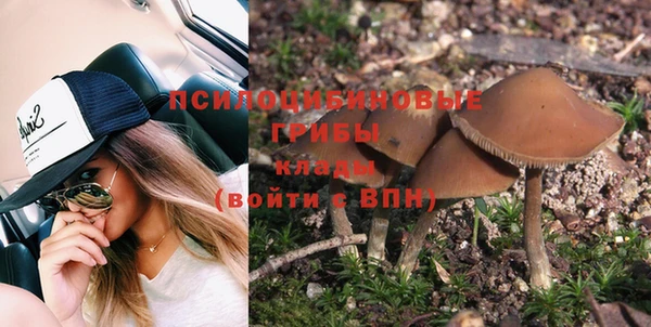 крисы Абдулино