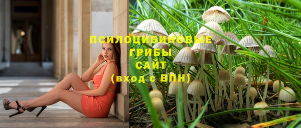 apvp Абинск