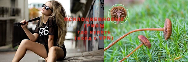 метадон Алексеевка